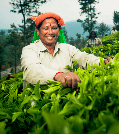 other-businesses-mobile-banner