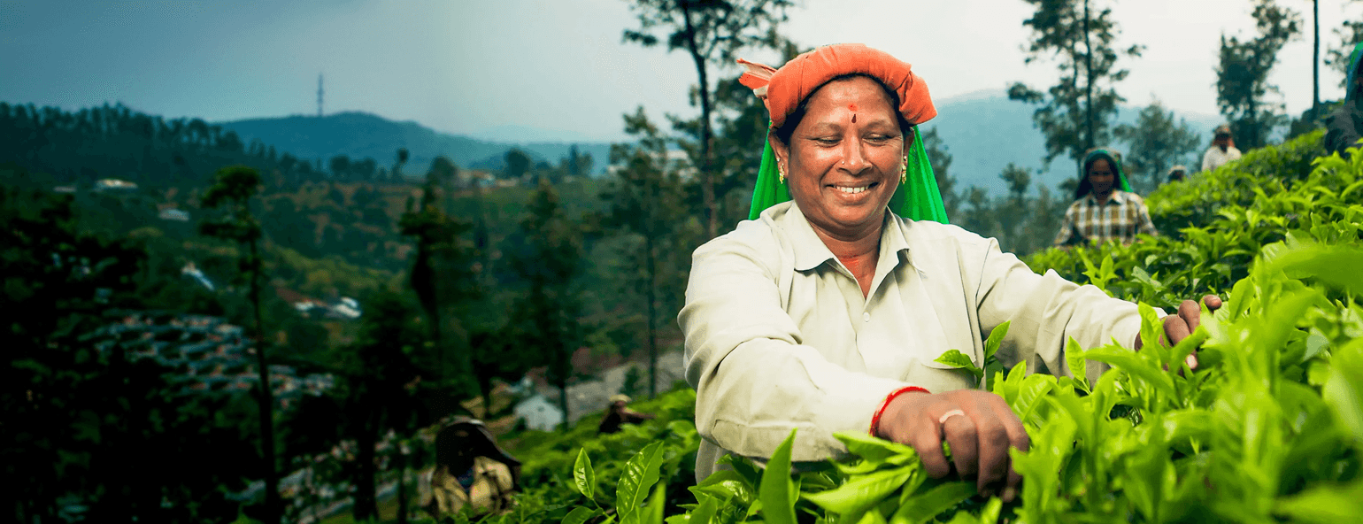 other-businesses-desktop-banner